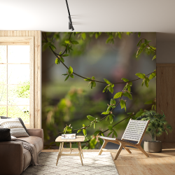 Fototapet Continuu Personalizat Natură VIVIDĂ - Frunze Fără Imbinări