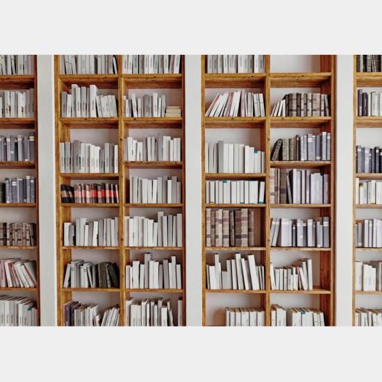 Fototapet 3D personalizat fără îmbinari - Perete Bibliotecă Fototapet 3D personalizat fără îmbinari - Perete Bibliotecă