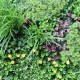 Panou  Verdeață Artificială VP6135 GreenWall Rainforest 1x1 m