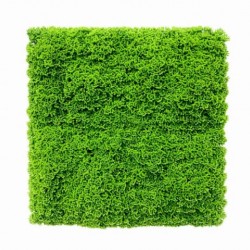 Panou  Verdeață Artificială VP7002 GreenWall Stone Moss 1x1 m