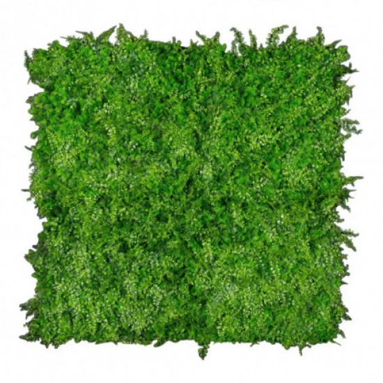 Panou Verdeață Artificială GW 6117 GreenWall Asplenium 1x1 m