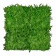 Panou Verdeață Artificială GW 6117 GreenWall Asplenium 1x1 m