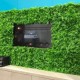 Panou Verdeață Artificială GW 6117 GreenWall Asplenium 1x1 m
