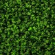 Panou  Verdeață Artificială 1x1 m GW Clover Mix 6013 