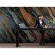 Vopsea Decorativă Efect Piatra Sparta Antichizata Vopsea Decorativă Efect Piatra Sparta Antichizata